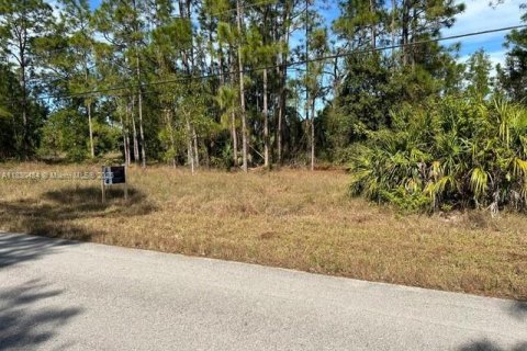 Land in Lehigh Acres, Florida № 2158165 - photo 5