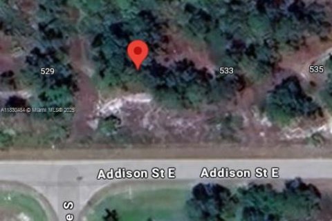 Land in Lehigh Acres, Florida № 2158165 - photo 4