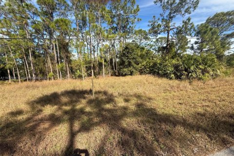 Land in Lehigh Acres, Florida № 2158165 - photo 2
