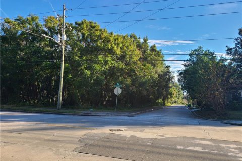 Land in DeLand, Florida № 1718185 - photo 3