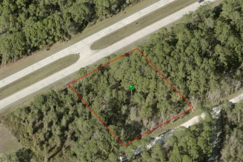 Land in DeLand, Florida № 2277721