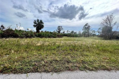 Land in Placida, Florida № 2160119 - photo 3