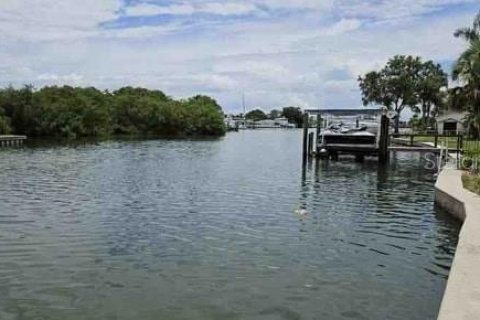 House in Saint Petersburg, Florida 7 bedrooms, 677.54 sq.m. № 1848436 - photo 6