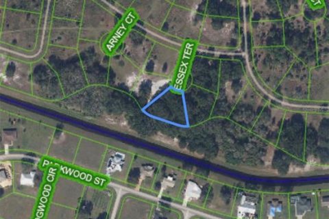 Land in Sebring, Florida № 2207002 - photo 3