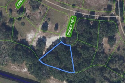 Land in Sebring, Florida № 2207002 - photo 2