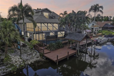 Villa ou maison à vendre à Palm Harbor, Floride: 5 chambres, 417.69 m2 № 2395750 - photo 4