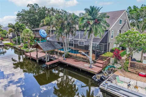 Villa ou maison à vendre à Palm Harbor, Floride: 5 chambres, 417.69 m2 № 2395750 - photo 3