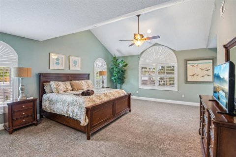Villa ou maison à vendre à Palm Harbor, Floride: 5 chambres, 417.69 m2 № 2395750 - photo 26