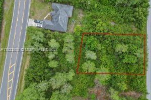 Land in Palm Bay, Florida № 1979258 - photo 2