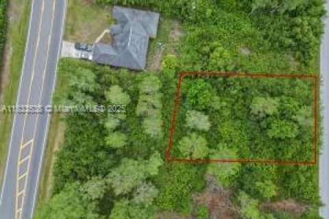 Land in Palm Bay, Florida № 1979258 - photo 3