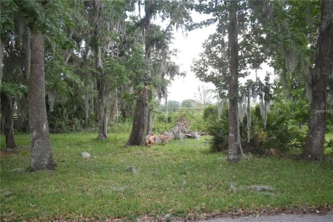 Land in Wildwood, Florida № 2275506