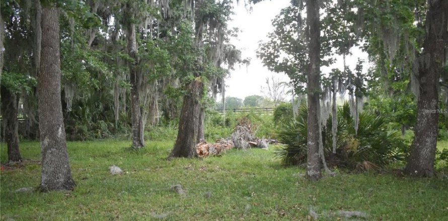 Land in Wildwood, Florida № 2275506