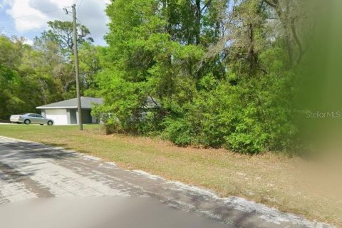 Land in Citrus Springs, Florida № 2266833