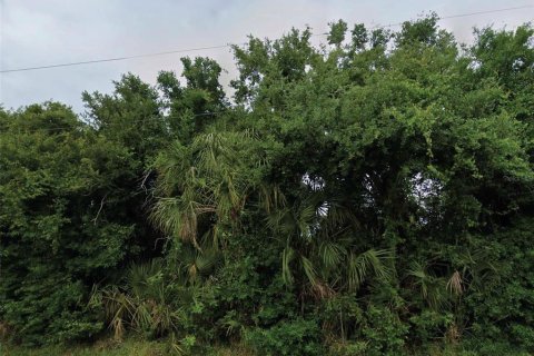 Land in Englewood, Florida № 2367115