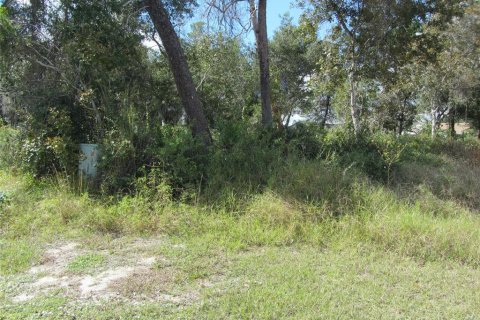Propiedad comercial en venta en Deltona, Florida № 214621 - foto 2