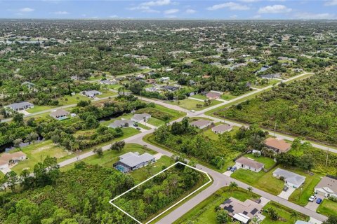 Land in Port Charlotte, Florida № 2394162 - photo 12