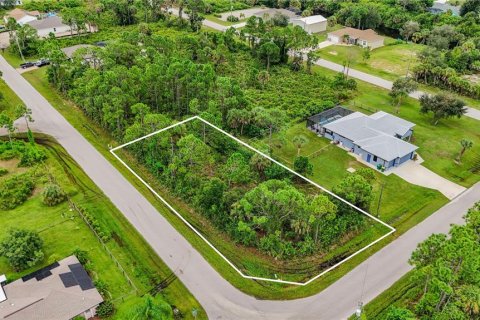 Land in Port Charlotte, Florida № 2394162 - photo 10