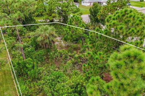 Land in Port Charlotte, Florida № 2394162 - photo 20