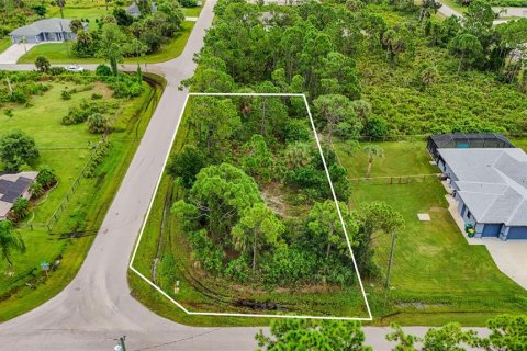 Land in Port Charlotte, Florida № 2394162 - photo 13