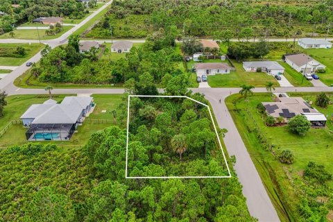 Land in Port Charlotte, Florida № 2394162 - photo 18