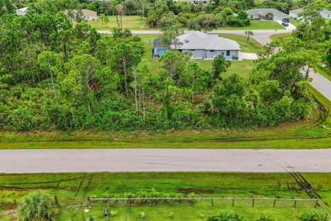 Land in Port Charlotte, Florida № 2394162 - photo 3