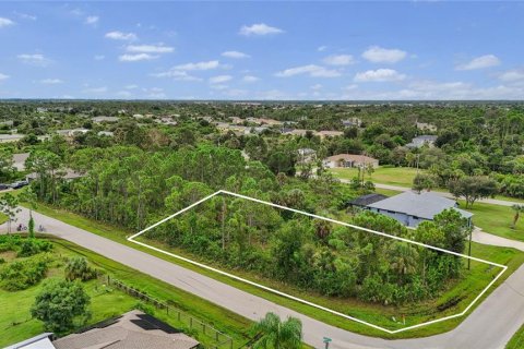 Land in Port Charlotte, Florida № 2394162 - photo 11