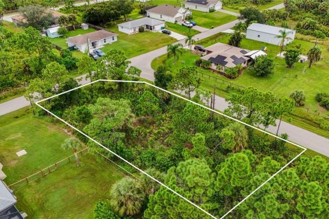 Land in Port Charlotte, Florida № 2394162 - photo 4
