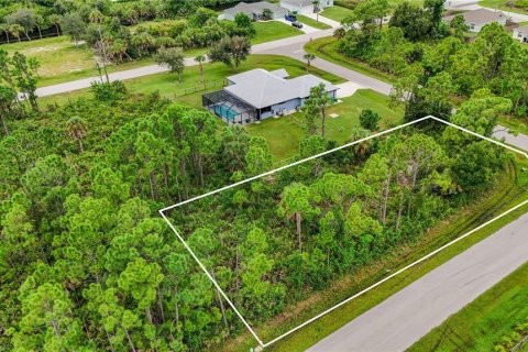 Land in Port Charlotte, Florida № 2394162 - photo 15
