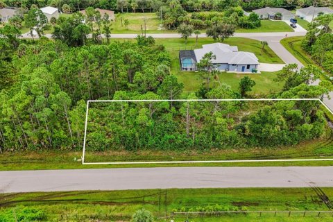 Land in Port Charlotte, Florida № 2394162 - photo 16