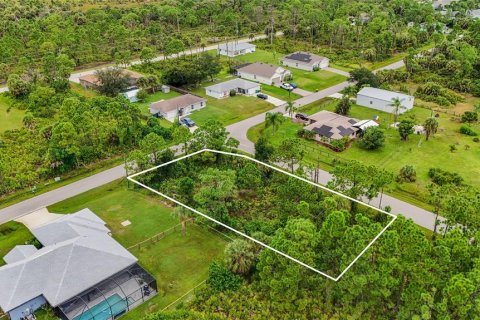 Land in Port Charlotte, Florida № 2394162 - photo 9