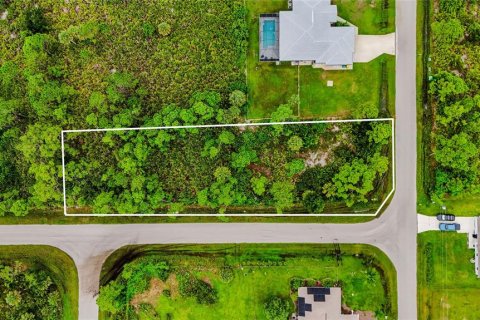 Land in Port Charlotte, Florida № 2394162 - photo 7