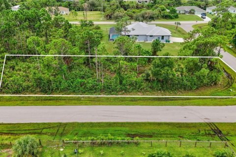 Land in Port Charlotte, Florida № 2394162 - photo 14