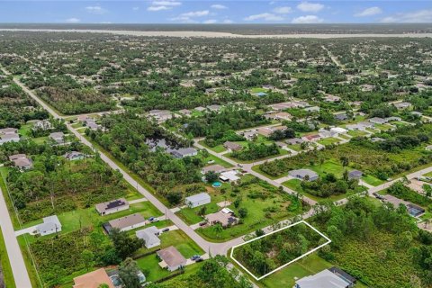 Land in Port Charlotte, Florida № 2394162 - photo 8