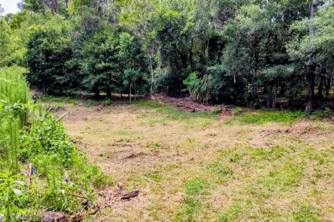Land in Brooksville, Florida № 2109455 - photo 11
