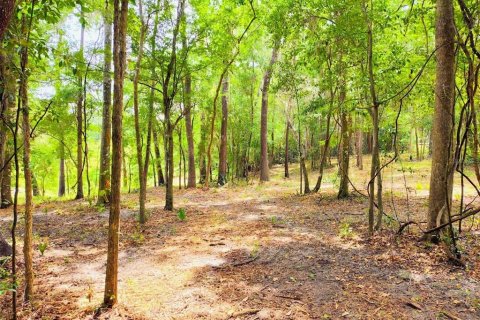 Land in Brooksville, Florida № 2109455 - photo 3