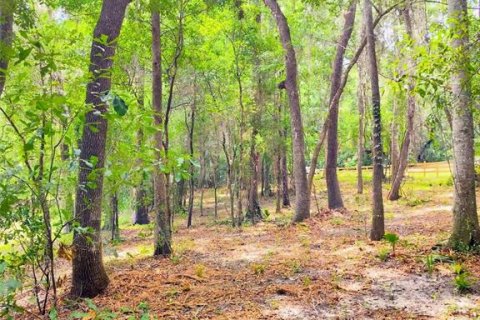 Land in Brooksville, Florida № 2109455 - photo 10