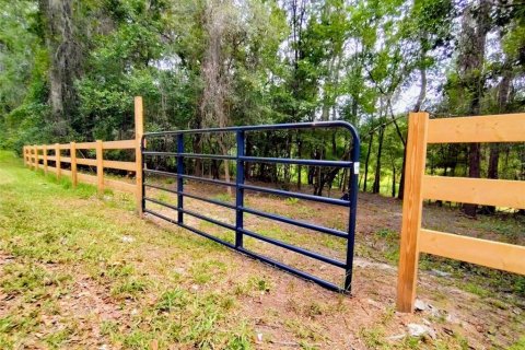 Land in Brooksville, Florida № 2109455 - photo 13