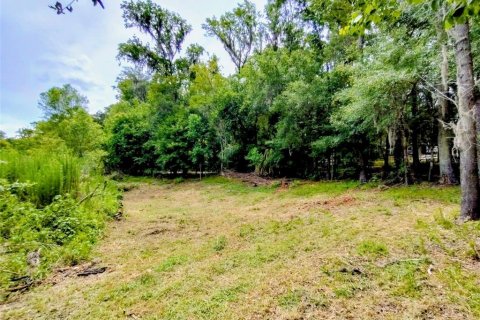 Land in Brooksville, Florida № 2109455 - photo 7