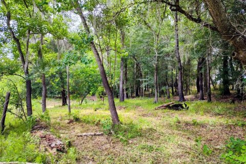 Land in Brooksville, Florida № 2109455 - photo 8