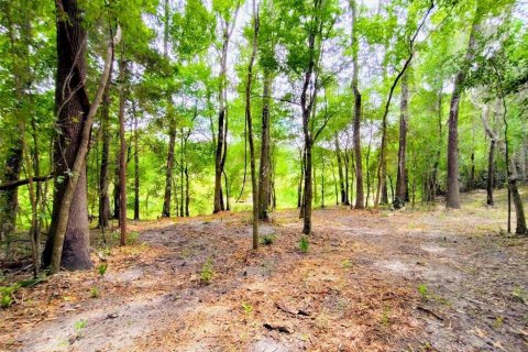 Land in Brooksville, Florida № 2109455 - photo 5