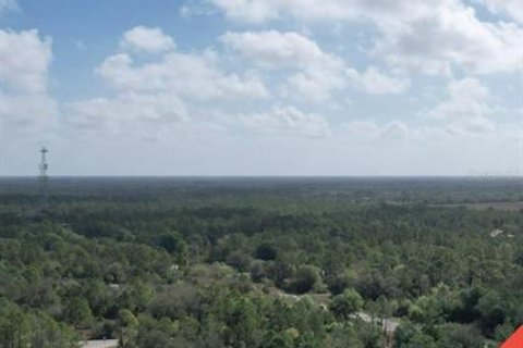 Land in Punta Gorda, Florida № 2163436 - photo 9