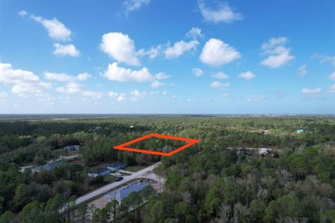 Land in Punta Gorda, Florida № 2163436 - photo 6