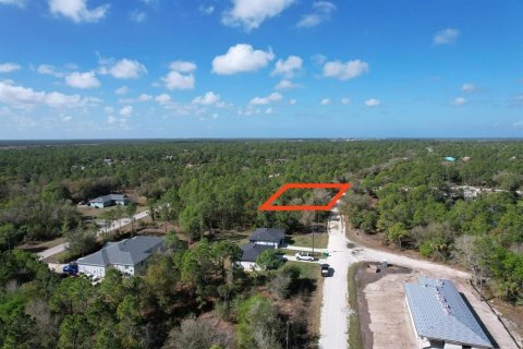 Land in Punta Gorda, Florida № 2163436 - photo 3