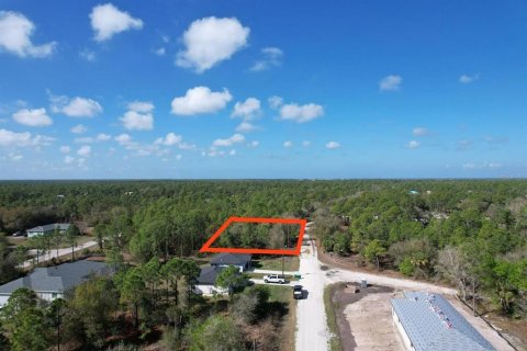 Land in Punta Gorda, Florida № 2163436 - photo 2