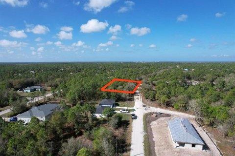 Land in Punta Gorda, Florida № 2163436