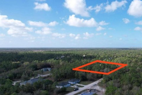 Land in Punta Gorda, Florida № 2163436 - photo 8