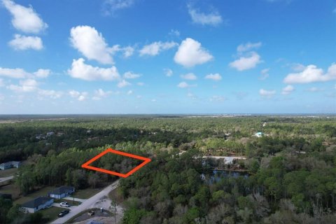Land in Punta Gorda, Florida № 2163436 - photo 4