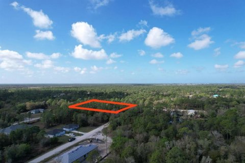 Land in Punta Gorda, Florida № 2163436 - photo 5