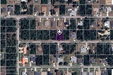 Land in Port Charlotte, Florida № 2159911 - photo 3