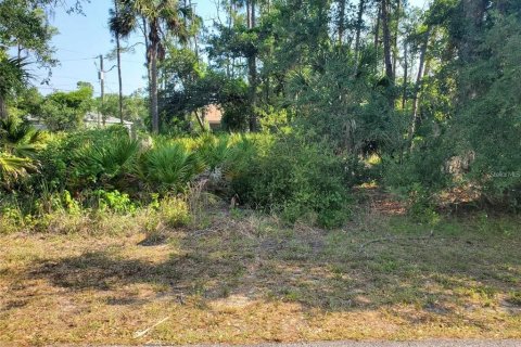 Land in Port Charlotte, Florida № 2159911